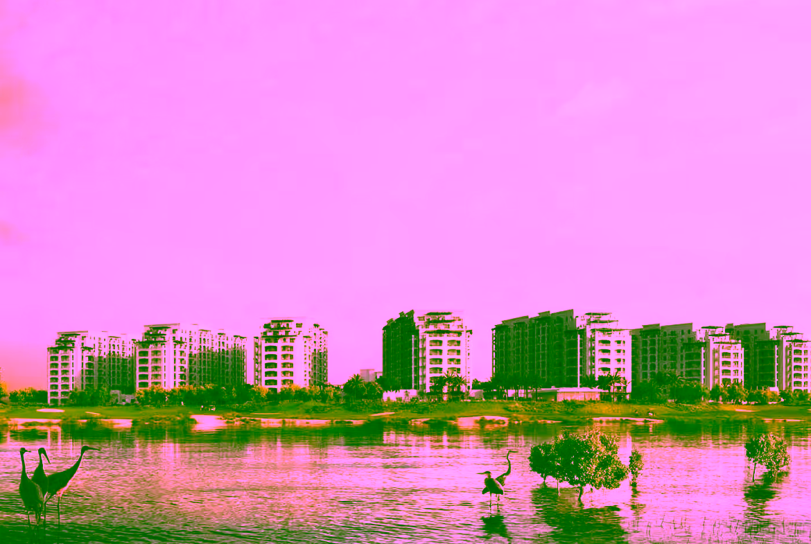 Yas Golf Collection 5