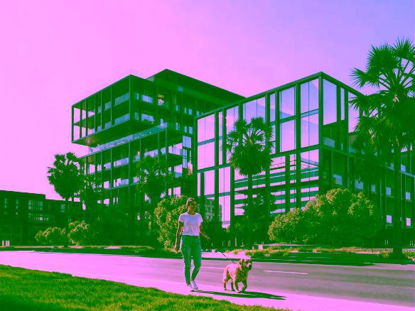 Sensi Saadiyat 4